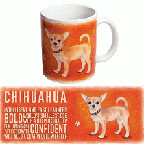 Chihuahua Mok Oranje